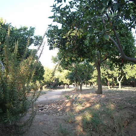 Villa Dei Giardini San Leone Extérieur photo